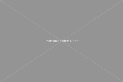 Description Tab Picture